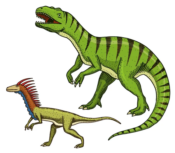 Dinossauros Tyrannosaurus rex, Velociraptor, Ceratosaurus, Afrovenator, Megalosaurus, Tarbosaurus, esqueletos Struthiomimus, fósseis. Répteis pré-históricos, animal gravado vetor desenhado à mão — Vetor de Stock