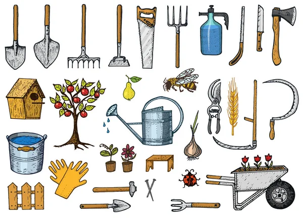 Ensemble d'outils ou d'articles de jardinage. Enrouleur de tuyau, fourche, bêche, râteau, houe, trug, chariot, tondeuse à gazon, collection d'éléments. équipement de travail. pelle clôture arbre scie arrosoir hache. gravé à la main dessiné dans un vieux croquis — Image vectorielle