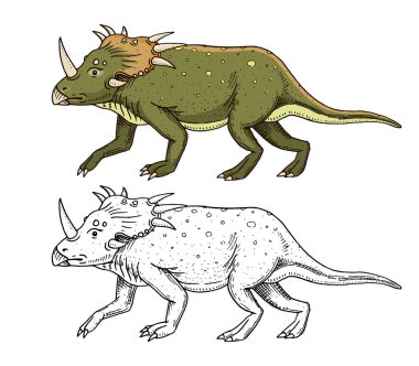 Dinozor Triceratops, iskeletler, fosiller. Prehistorik sürüngenler, hayvan. oyulmuş elle çizilmiş eski kroki.