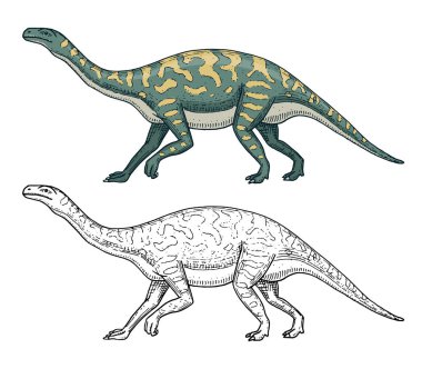 Dinozorlar Barosaurus, Apatosaurus, Tenontosaurus Plateosaurus, geniş kertenkele, Massospondylus, Diplodocus, Brachiosaurus, iskeletler, fosiller. Prehistorik sürüngenler, hayvan el çizilmiş vektör