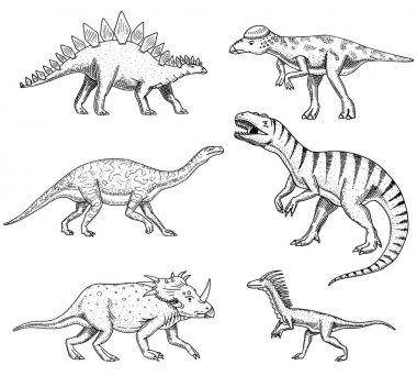 Dinozorlar ayarla, Triceratops, Barosaurus, Tyrannosaurus rex,, Stegosaurus, Pachycephalosaurus, deinonychus, iskelet, fosiller. Prehistorik sürüngenler, hayvan el çizilmiş vektör.
