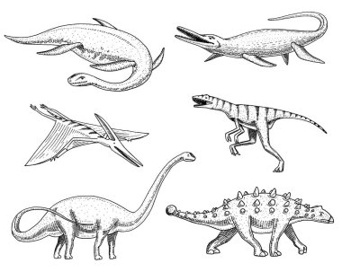 Dinozorlar Elasmosaurus, Mosasaurus, Barosaurus, Diplodocus, Pterosaur, Ankylosaurus, Velociraptor, fosiller, kertenkele kanatlı. Amerikan prehistorik sürüngenler, Jurassic hayvan el çizilmiş vektör kazınmış.