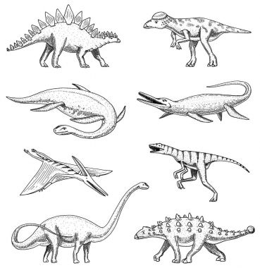 Dinozorlar elasmosaurus, mosasaurus, barosaurus, diplodocus, pterosaur, ankylosaurus, triceratops, fosiller, kanatlı kertenkele. Amerikan prehistorik sürüngenler, Jurassic hayvan el çizilmiş vektör kazınmış.