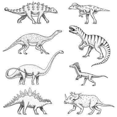 Dinozorlar ayarla, triceratops, barosaurus, tyrannosaurus rex, stegosaurus, pachycephalosaurus, diplodocus, deinonychus, velociraptor, iskeletler, fosiller. Prehistorik sürüngenler, hayvan el çizilmiş vektör.