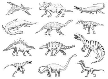 Dinozorlar ayarla, Tyrannosaurus rex, Triceratops, Barosaurus, Diplodocus, Velociraptor, Triceratops, Stegosaurus, iskeletler, fosiller. Prehistorik sürüngenler, hayvan el çizilmiş vektör.