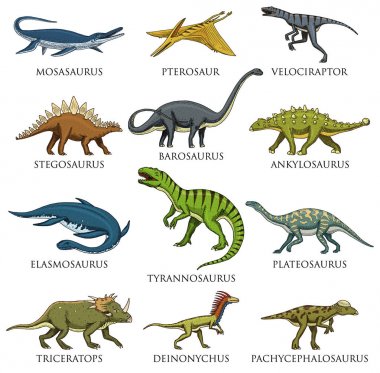 Dinozorlar ayarla, Tyrannosaurus rex, Triceratops, Barosaurus, Diplodocus, Velociraptor, Triceratops, Stegosaurus, iskeletler, fosiller. Prehistorik sürüngenler, hayvan el çizilmiş vektör.