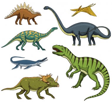 Dinozorlar ayarla, Tyrannosaurus rex, Triceratops, Barosaurus, Diplodocus, Velociraptor, Triceratops, Stegosaurus, iskeletler, fosiller. Prehistorik sürüngenler, hayvan el çizilmiş vektör.