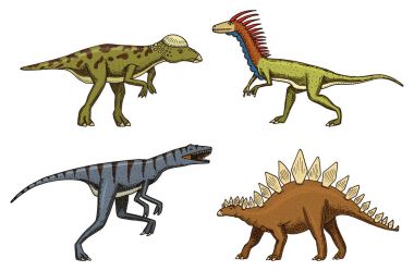 küçük dinozorlar, deinonychus, stegosaurus, velociraptor, pachycephalosaurus, iskelet, fosiller. Prehistorik sürüngenler, hayvan el çizilmiş vektör.