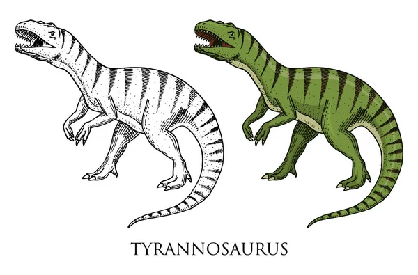 恐竜ティラノサウルス ・ レックス、タルボサウルス、Struthiomimus スケルトン、化石。先史時代の爬虫類の動物が刻まれた手描きの背景. — ストックベクタ
