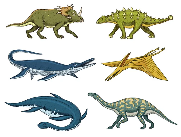 Dinossauros Elasmosaurus, Mosassaurus, Barosaurus, Diplodocus, Pterosaur, Ankylosaurus, Velociraptor, fósseis, lagarto alado. Répteis pré-históricos americanos, animal jurássico gravado vetor desenhado à mão . — Vetor de Stock