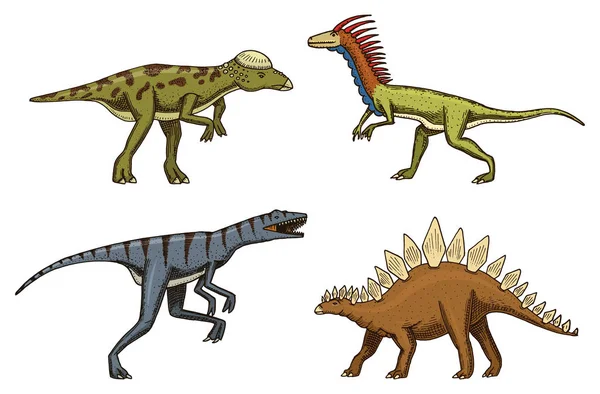 Pequenos dinossauros, deinonychus, stegosaurus, velociraptor, paquicefalossauro, esqueletos, fósseis. Répteis pré-históricos, Animal vetor desenhado à mão . — Vetor de Stock