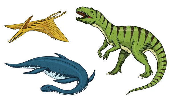 Dinosaurierna Tyrannosaurus rex, elasmosaurus, flygödlor, skelett, fossil. Förhistoriska reptiler, djur graverat Hand dras vektor. — Stock vektor