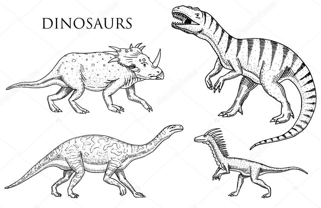 Dinosaurs Tyrannosaurus rex, Velociraptor, Ceratosaurus, Afrovenator, Megalosaurus, Tarbosaurus, Struthiomimus skeletons, fossils. Prehistoric reptiles, Animal engraved Hand drawn vector