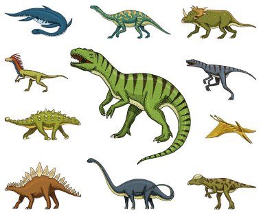 Dinozorlar ayarla, Tyrannosaurus rex, Triceratops, Barosaurus, Diplodocus, Velociraptor, Triceratops, Stegosaurus, iskeletler, fosiller. Prehistorik sürüngenler, hayvan el çizilmiş vektör.