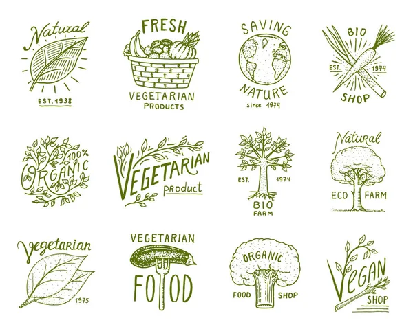 Sağlıklı organik gıda logolar kümesi veya etiketleri ve vejetaryen ve çiftlik yeşil doğal sebze ürünleri, vektör çizim için öğeleri. rozetleri sağlıklı yaşam. oyulmuş elle çizilmiş eski kroki. — Stok Vektör