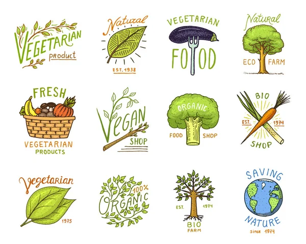 Logotipos de alimentos orgânicos saudáveis conjunto ou rótulos e elementos para vegetariano e fazenda produtos vegetais naturais verdes, ilustração vetorial. distintivos vida saudável. mão gravada desenhada em esboço antigo . — Vetor de Stock