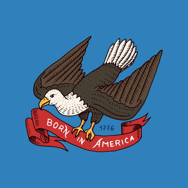 Jeu d'aigle américain natif. vieux, étiquettes et badges. gravé à la main dessiné dans un vieux croquis . — Image vectorielle