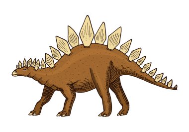 Dinozor Stegosaurus, fosiller. Prehistorik sürüngenler, hayvan el çizilmiş vektör kazınmış..