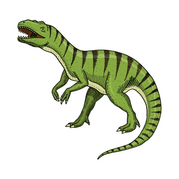 Dinosaury Tyrannosaurus rex, Afrovenator, Megalosaurus, ilustrátorů, Struthiomimus kostry, zkameněliny. Prehistorické plazy, zvíře vyryto ručně kreslenou vektorové — Stockový vektor