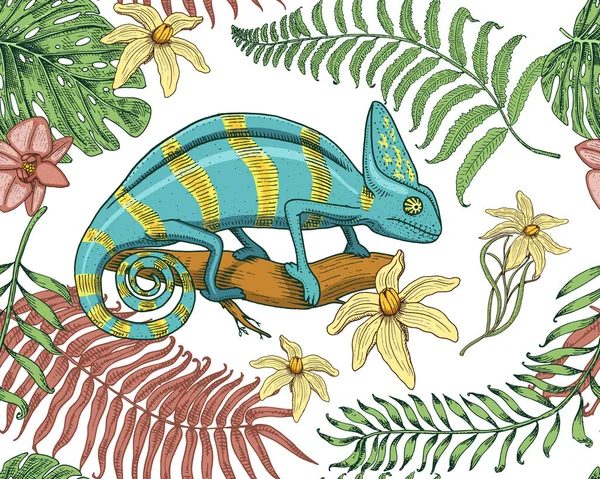 Chameleon hagedis, tropische bloemen, naadloze patroon. Amerikaanse groene reptielen of slang, herbivore. vectorillustratie voor boek of dierenwinkel, dierentuin. gegraveerde hand getrokken in oude schets. — Stockvector