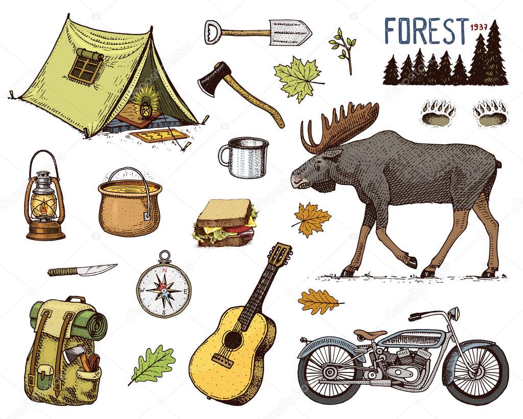 camping equipment set, outdoor adventure, hiking. Traveling man with luggage. tourism trip. engraved hand drawn in old sketch. moose and motorcycle, sandwich and binoculars, camera. backpack and tent.