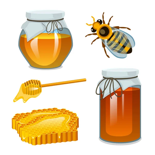 蜂蜜の瓶、ミツバチ、ハイブ、スプーンとハニカム、ハイブ養蜂場で。自然農場の製品。養蜂や庭。健康、有機菓子、医療イラスト、農業. — ストックベクタ