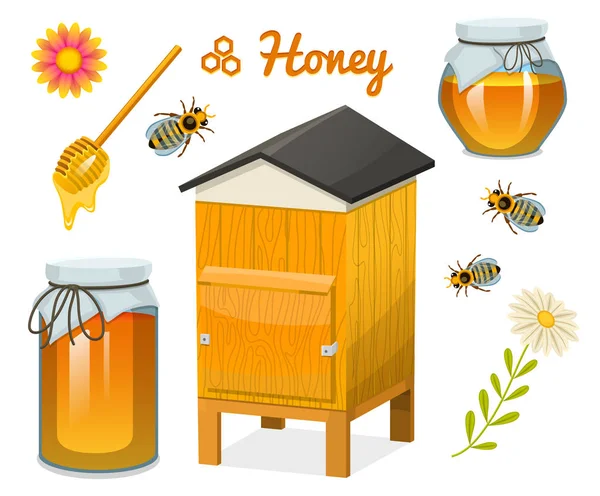 Coffret miel, abeille et ruche, cuillère et nid d'abeille, ruche et ruche. produit agricole naturel. apiculture ou jardin, camomille fleurie. Santé, bonbons bio, illustration médicale, agriculture . — Image vectorielle