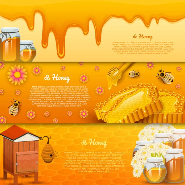 Honey or natural farm product. beekeeping or garden. Health, organic sweets, medicine illustration, agriculture. food in honeycomb cooked by bees. background for text. Card or poster for web site. — Stock Vector