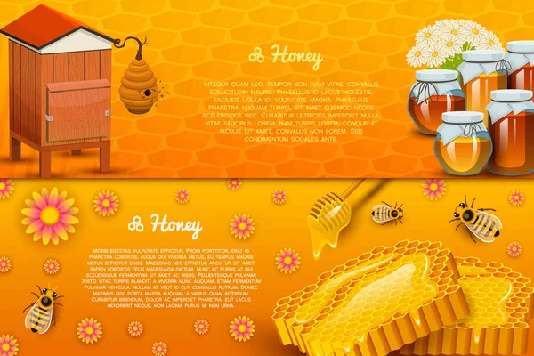 Miel ou produit agricole naturel. apiculture ou jardin. Santé, bonbons bio, illustration de médicaments, agriculture. nourriture en nid d'abeille cuite par les abeilles. fond pour le texte. Carte ou affiche pour le site Web . — Image vectorielle