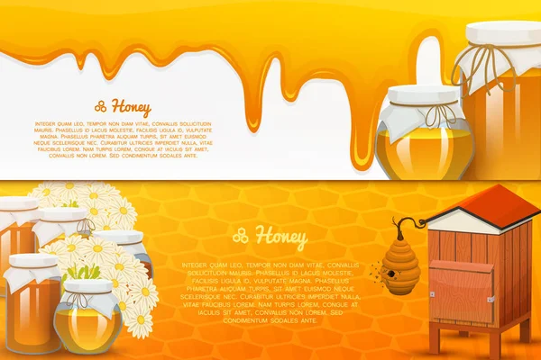 Miel ou produit agricole naturel. apiculture ou jardin. Santé, bonbons bio, illustration de médicaments, agriculture. nourriture en nid d'abeille cuite par les abeilles. fond pour le texte. Carte ou affiche pour le site Web . — Image vectorielle