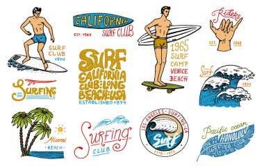 Sörf rozet ve dalga, palmiye ağacı ve okyanus. Tropik ve california. plaj ve deniz adam sörf, yaz. oyulmuş amblemi elle çizilmiş. Başlık sayfası veya poster. Spor Hawaii.