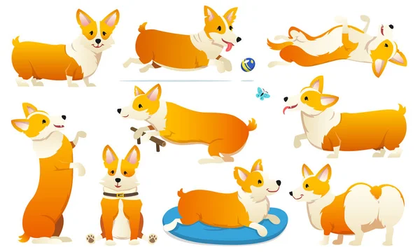 Set von niedlichen Hunden züchten walisische Corgi pembroke auf weißem Hintergrund. ein Haustier, ein glückliches königliches Tier für Mädchen. Der lustige rothaarige Welpe sieht aus wie ein Fuchs. Vektorillustration. — Stockvektor