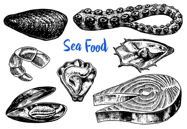 Mosselen en inktvis, oyster en zalm steak, tijger-garnalen, zee shell. Schaal-en schelpdieren voor het menu. Rivier en meer of zee wezens. Zoetwater aquarium. Gegraveerde hand getrokken in oude vintage schets. — Stockvector