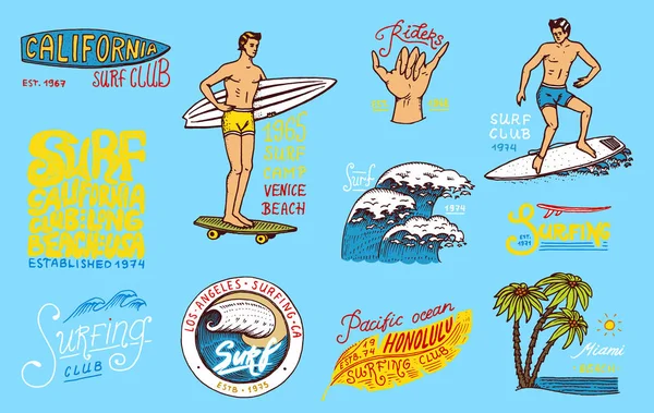 Surf badge och våg, Palm och hav. tropikerna och Kalifornien. mannen på surfbräda, sommar på stranden och havet. graverade emblem handritad. Banderoll eller affisch. Sport i Hawaii. — Stock vektor