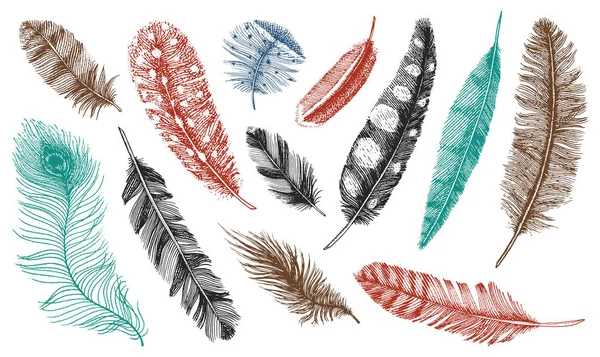 Set of Rustic realistic feathers of different birds, owls, peacocks, ducks. engraved hand drawn in old vintage sketch. Vector illustration. — Stock Vector