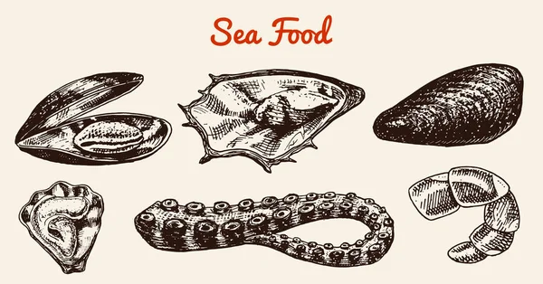 Mejillones y calamares, pulpo y concha marina. Río y lago o criaturas marinas. Acuario de agua dulce. Cartel para el menú. Mano grabada dibujada en antiguo boceto vintage. Fondo de mariscos . — Archivo Imágenes Vectoriales