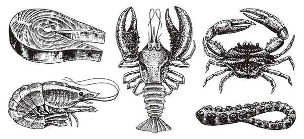 Crustacés, crevettes, homards ou écrevisses, steak de saumon, crabe aux griffes. Rivière et lac ou créatures marines. Aquarium d'eau douce. Fruits de mer pour le menu. Gravure à la main en croquis vintage . — Image vectorielle