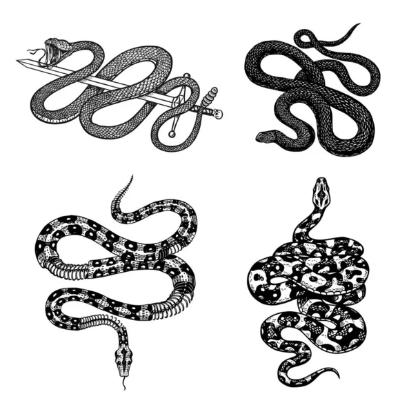 Винтажный набор змей. Королевский питон, молочная рептилия с мечом, ядовитая кобра. Ядовитый гадюка для плаката или татуировки. Ручной рисунок на футболке или логотипе . — стоковый вектор