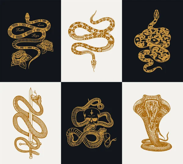 Milk snake with roses, skeleton royal python with skull, reptile with sword, Venomous Cobra. Poisonous Viper template for poster or tattoo. Engraved hand drawn old Vintage sketch for t-shirt or logo. — Stock Vector