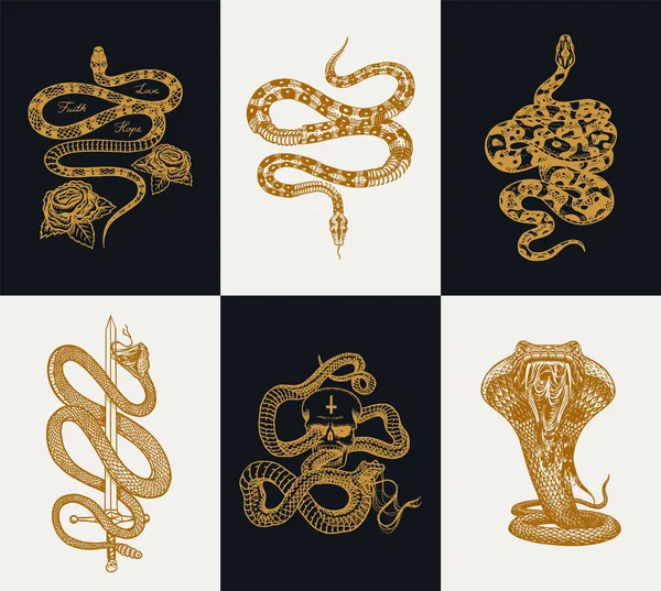 Serpente di latte con rose, pitone reale scheletro con cranio, rettile con spada, Cobra velenoso. Modello di vipera velenosa per poster o tatuaggio. vecchio schizzo Vintage inciso a mano per t-shirt o logo . — Vettoriale Stock