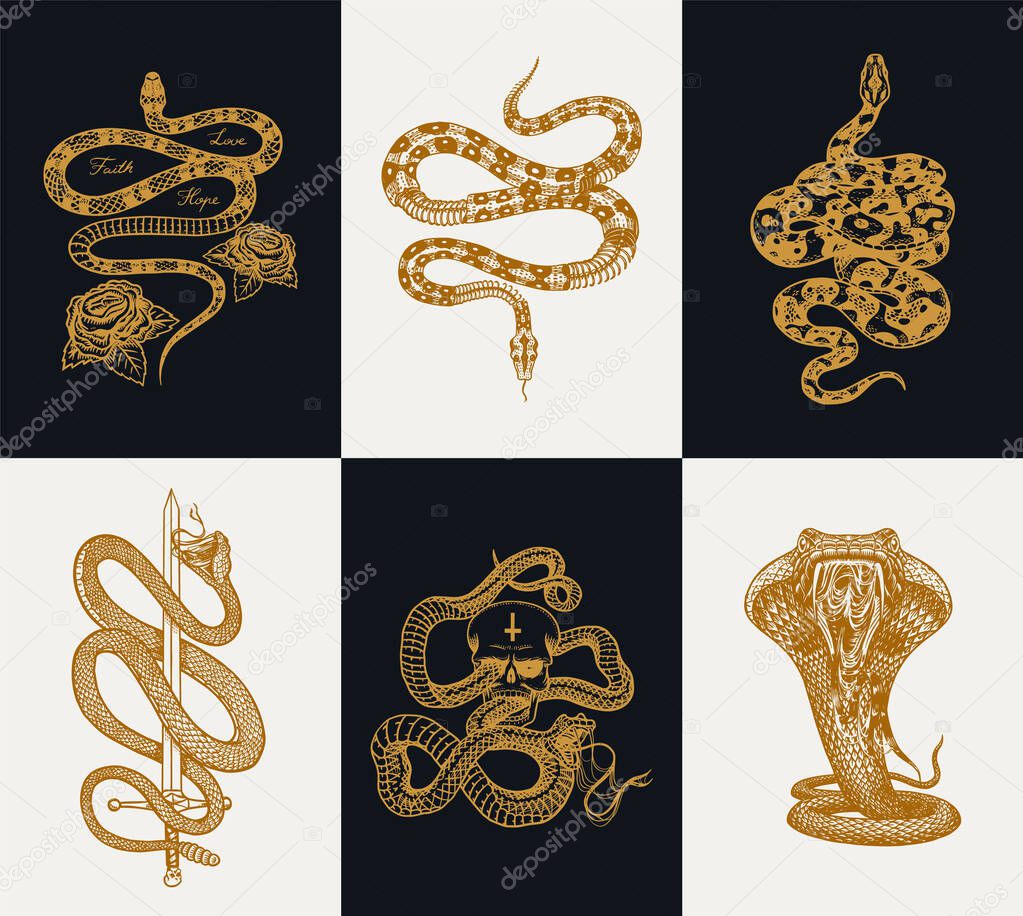 Milk snake with roses, skeleton royal python with skull, reptile with sword, Venomous Cobra. Poisonous Viper template for poster or tattoo. Engraved hand drawn old Vintage sketch for t-shirt or logo.
