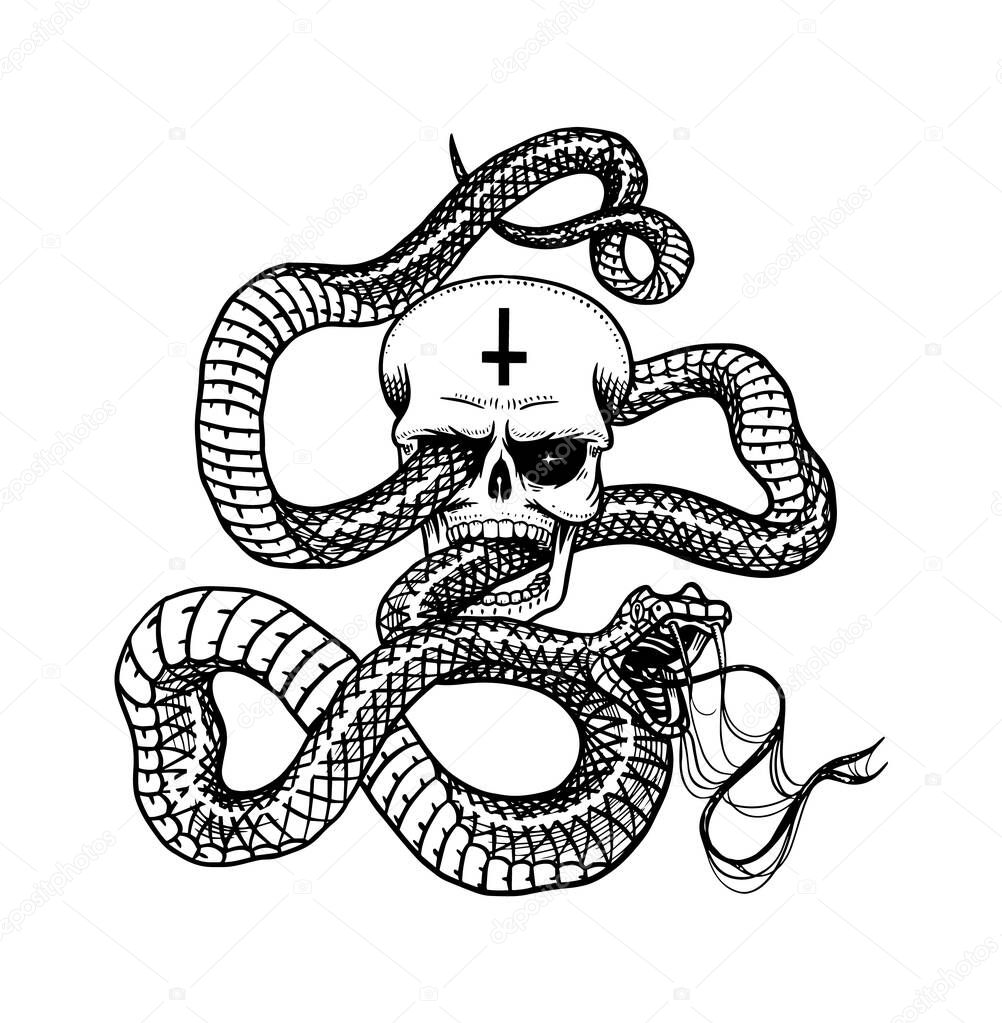 Snake with a skull in Vintage style. Serpent cobra or python or poisonous viper. Engraved hand drawn old reptile sketch for Tattoo. Anaconda for sticker or logo or t-shirts.