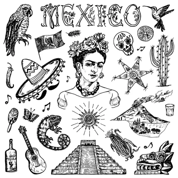 Mexico diatur dalam gaya kuno. Kostum tradisional nasional pada wanita, hewan, tanaman dan alat musik. Sketsa gambar tangan yang diukir . - Stok Vektor