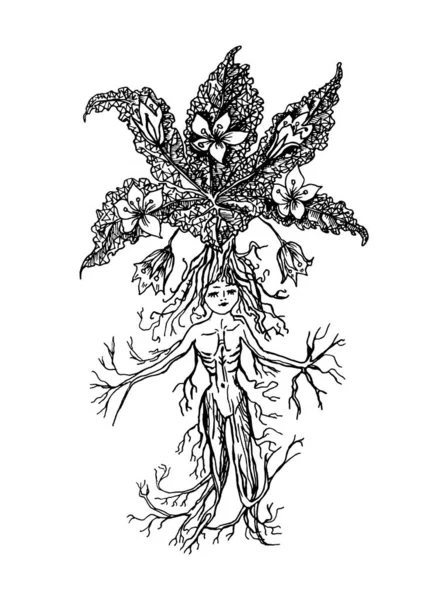 Mytisk mandrake växt i vintage stil. Fantasy magic flower, ingrediens för trolldom. Handritad graverad gammal retroskiss. Vektorillustration. — Stock vektor