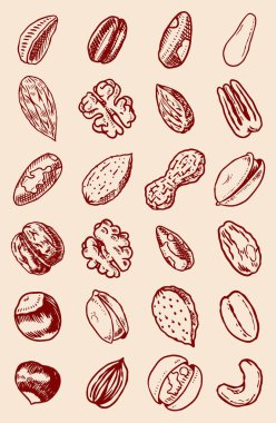 Fındıklar arka planı karıştırır. Tohumlar ve granüller, mısır ve tahıl. Fındık, Ceviz, Badem. Yemek konsepti. Üst Manzara. Klasik poster. Elle çizilmiş bir eskiz. Karalama simgeleri kümesi, tek renk biçiminde işaretler.