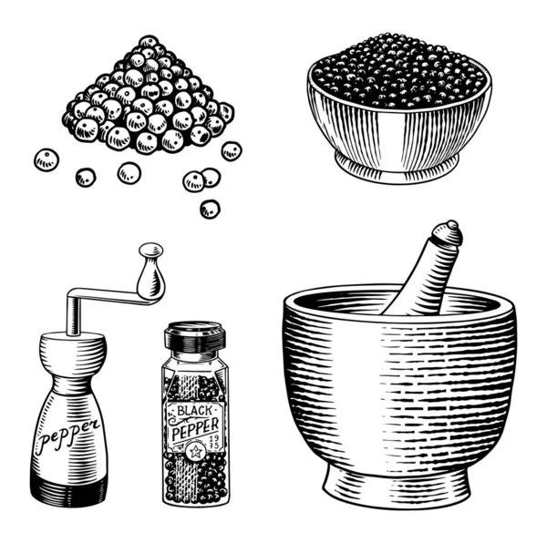 Zwarte peper set in Vintage stijl. Mortel en stamper, Allspice of peperkorrel, Molen en gedroogde zaden. Gegraveerde handgetekende vectorschets voor achtergrond — Stockvector