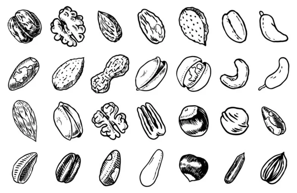 坚果混合背景。 种子和颗粒，玉米和谷物。 坚果，核桃，杏仁。 食物概念。 顶部视图。 复古海报。 雕刻的手绘草图. 一组涂鸦图标，单色风格的符号. — 图库矢量图片