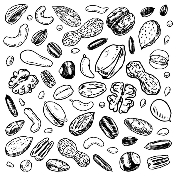 25,740,417 Mixed nuts Vector Images Depositphotos