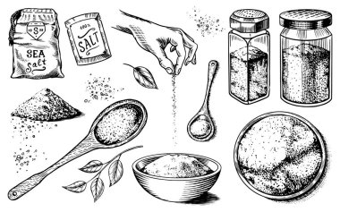 Deniz tuzu. Cam şişeler, ambalaj ve yapraklar, tahta kaşıklar, toz, elinde baharat. Klasik arka plan posteri. Oymalı el çizimi çizimi. 