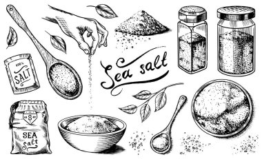 Sea salt set. Glass bottles, packaging and and leaves, wooden spoons, powdered powder, spice in the hand. Vintage background poster. Engraved hand drawn sketch.  clipart